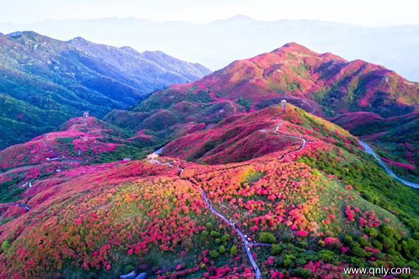 西藏旅游費(fèi)用