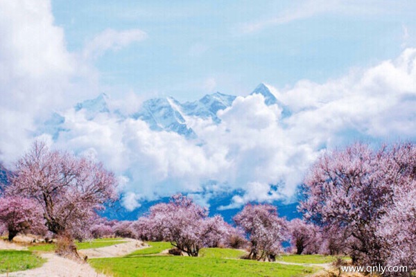 西藏旅行團旅游多少錢
