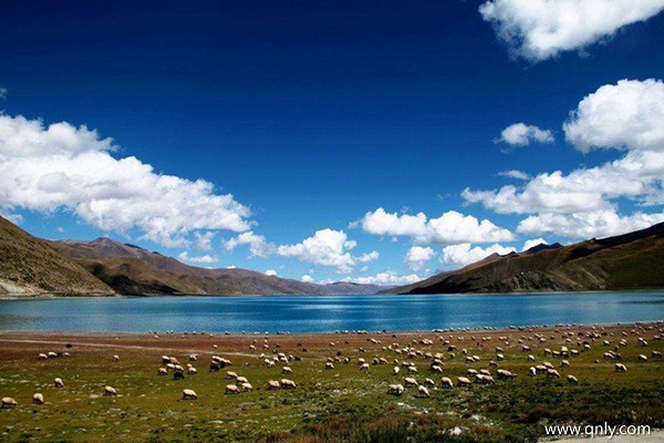 跟團(tuán)去西藏旅游多少錢
