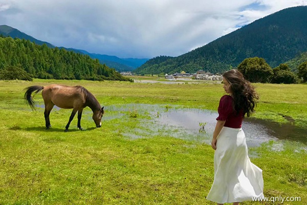去西藏旅行費(fèi)用多少錢