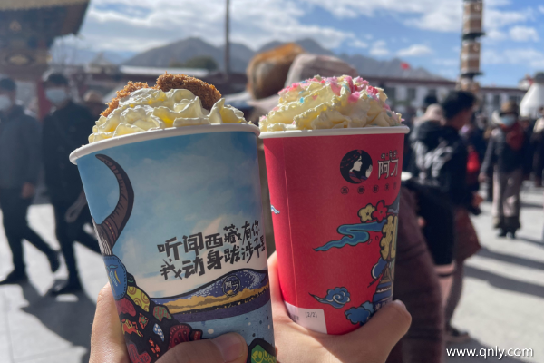 去拉薩旅游需要多少錢