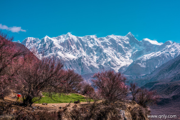 去西藏旅游多少錢