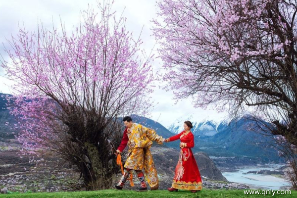 幾月去西藏旅游好