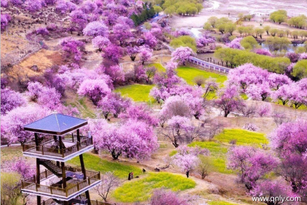 幾月去西藏旅游好