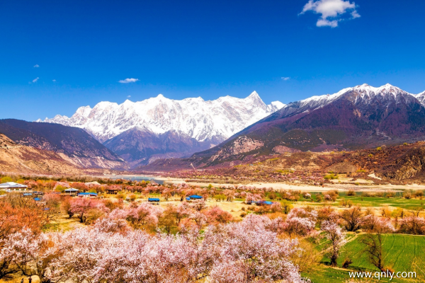 去西藏旅游幾月份最好