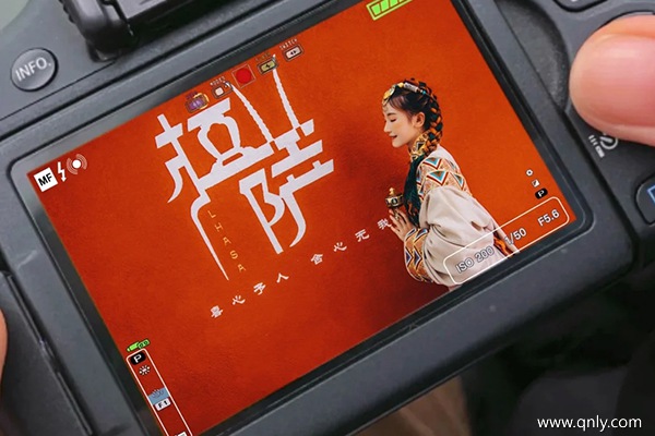帶爸媽去西藏玩多少錢