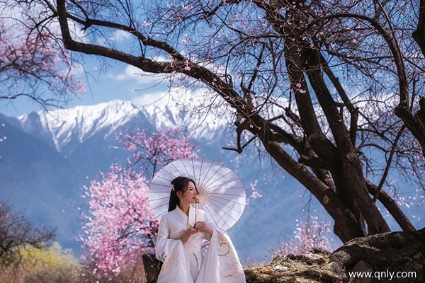 什么時(shí)候去林芝看桃花合適