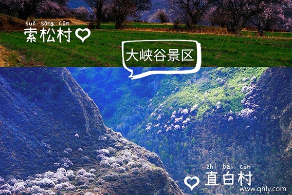 林芝旅游團報價五日游多少錢
