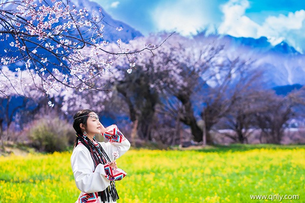 去拉薩一個(gè)人得花多少錢