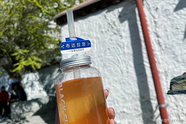 三個(gè)人去拉薩旅游大概需要多少錢(qián)