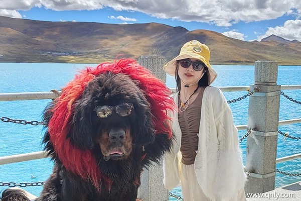 西藏旅游大概花費多少錢