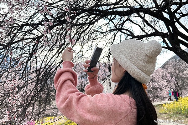 西藏旅游大概花費多少錢