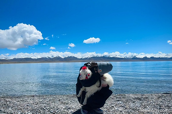 去西藏旅游最佳路線