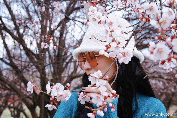 去一趟西藏花費