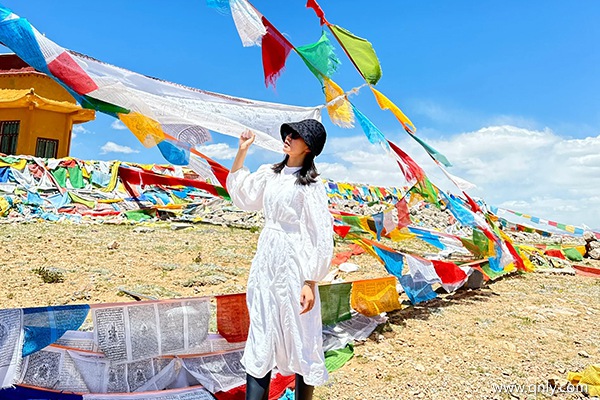 跟團(tuán)去拉薩旅游多少錢