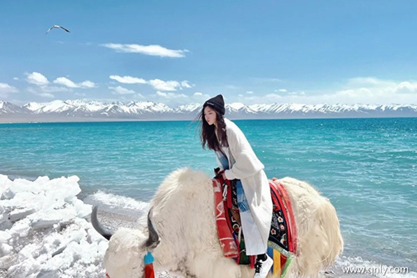 去西藏旅游大約多少錢的費(fèi)用啊