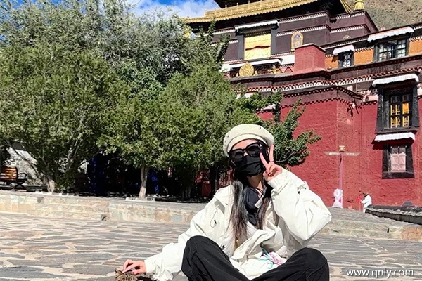 成都去西藏旅游的費用？