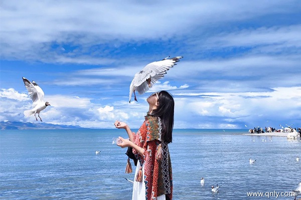 一個(gè)人去西藏旅游大概多少錢呢視頻