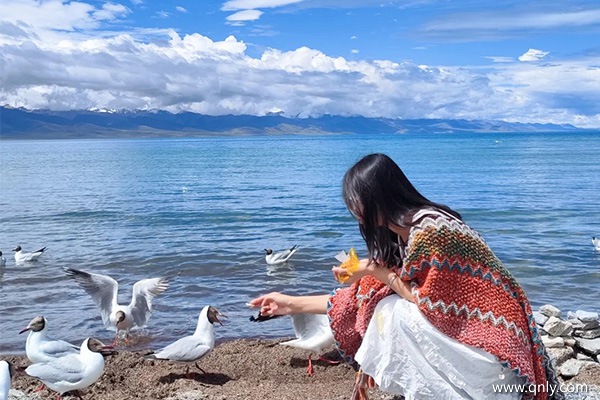 一個(gè)人去西藏旅游大概多少錢呢視頻