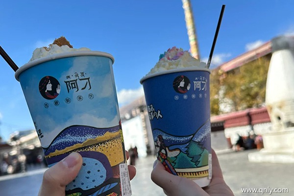 去拉薩旅游跟團多少錢