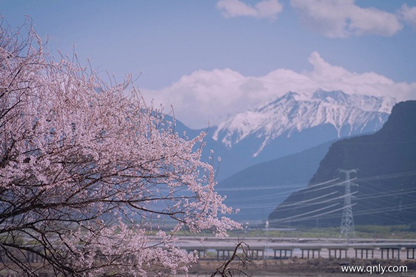 3月份西藏旅游會不會冷