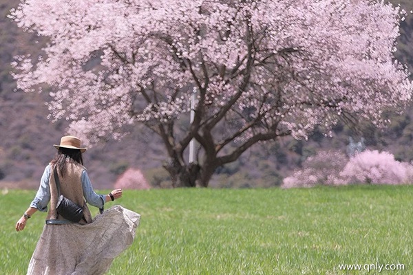 去西藏大概花費(fèi)
