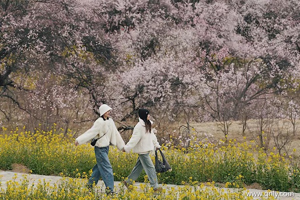 3月去西藏旅游都需要準備什么