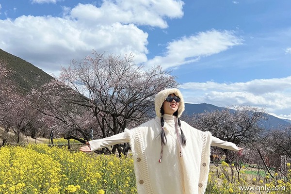 去一次西藏要花多少錢呢