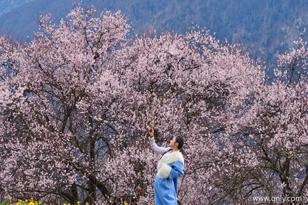 兩人去西藏花費(fèi)