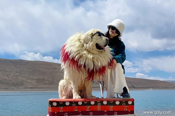 漳州去西藏旅游一周要多少錢
