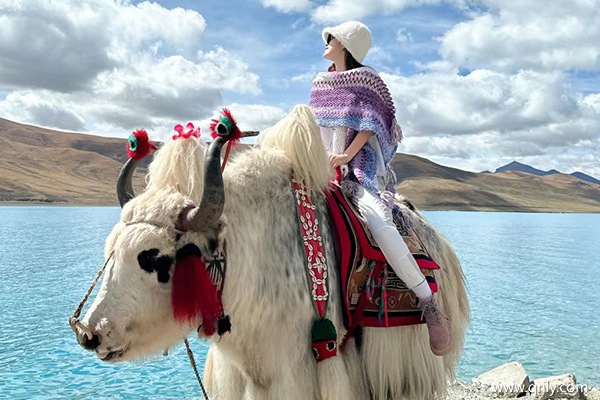 南通到西藏旅游7天多少錢